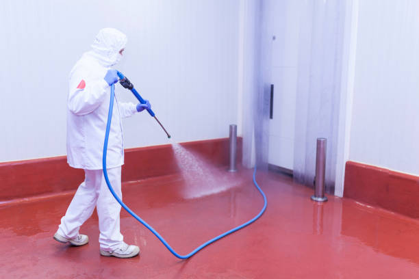 Best Roof Washing  in Mokena, IL